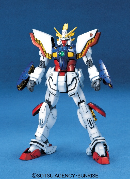 MG 1/100 �V���C�j���O�K���_��