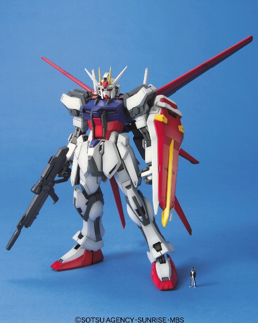 MG 1/100 �G�[���X�g���C�N�K���_��