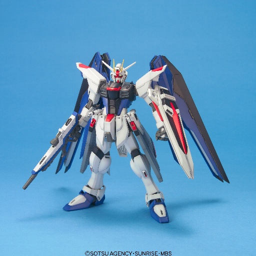 MG 1/100�@�t���[�_���K���_��