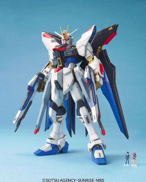 MG 1/100 �X�g���C�N�t���[�_���K���_��